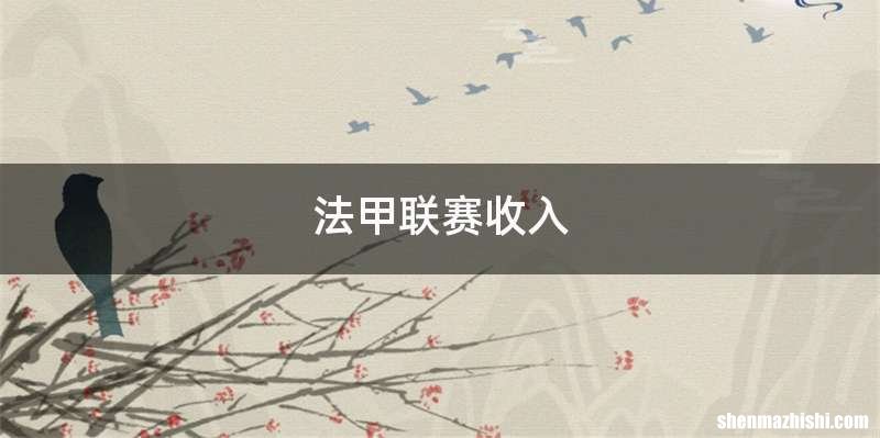 法甲联赛收入