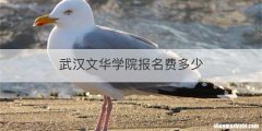 武汉文华学院报名费多少