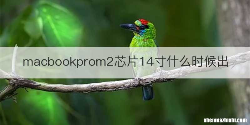 macbookprom2芯片14寸什么时候出