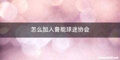 怎么加入鲁能球迷协会