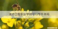 潍坊工程职业学院可以专升本吗