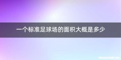 一个标准足球场的面积大概是多少
