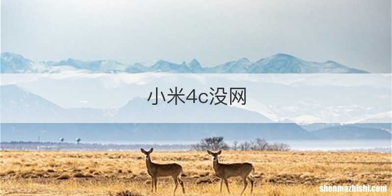 小米4c没网