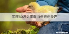 荣耀60怎么用歌曲做来电铃声