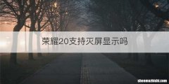 荣耀20支持灭屏显示吗
