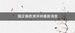 国足换欧洲洋帅最新消息