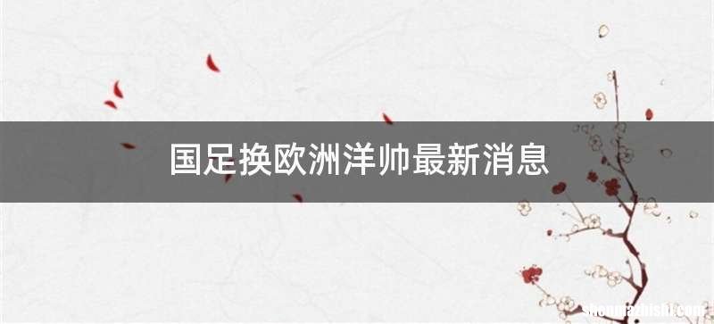 国足换欧洲洋帅最新消息
