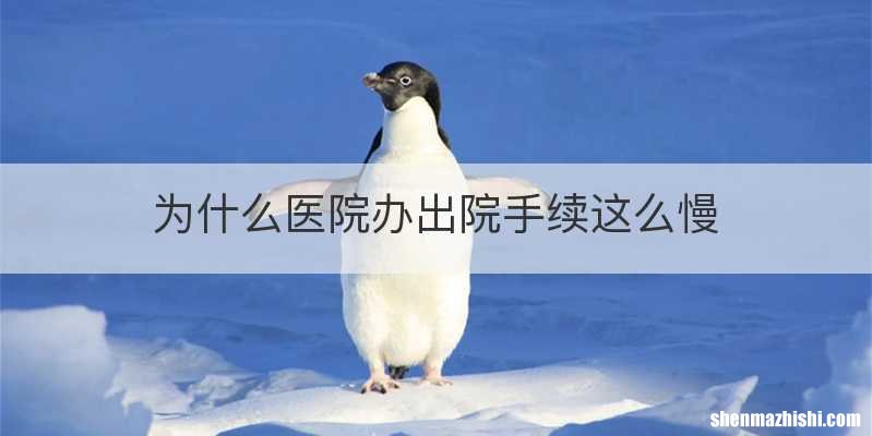 为什么医院办出院手续这么慢