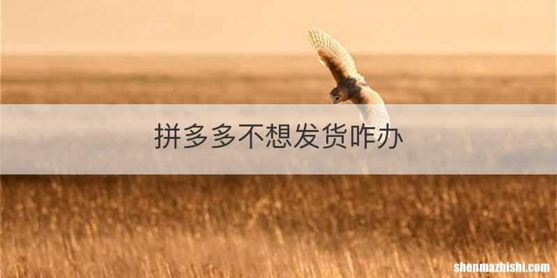 拼多多不想发货咋办