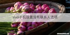 vivo手机设置没有联系人选项
