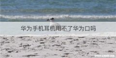 华为手机耳机用不了华为口吗