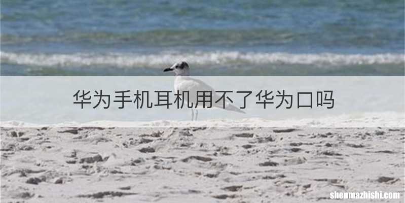 华为手机耳机用不了华为口吗
