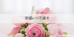 荣耀x10不读卡