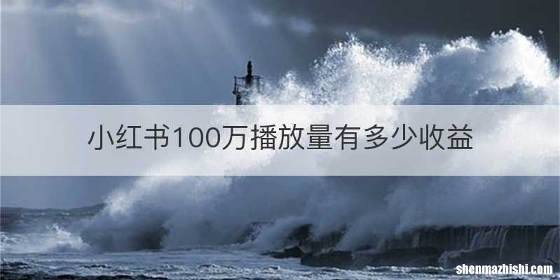 小红书100万播放量有多少收益