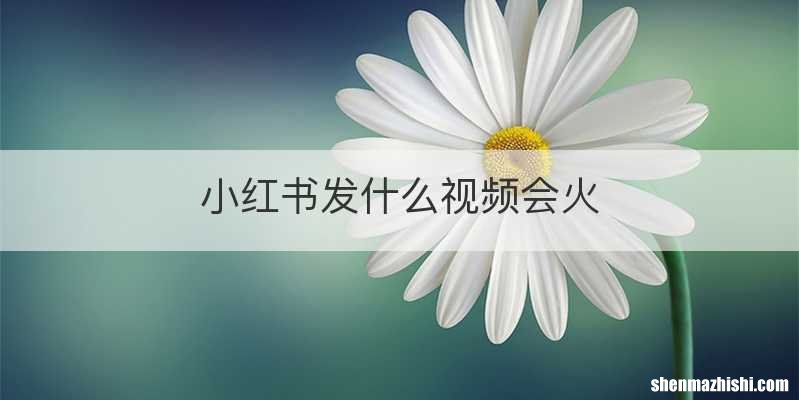小红书发什么视频会火