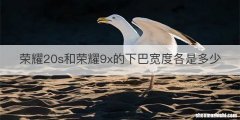 荣耀20s和荣耀9x的下巴宽度各是多少