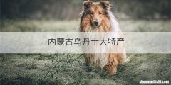 内蒙古乌丹十大特产