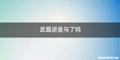 武磊进皇马了吗