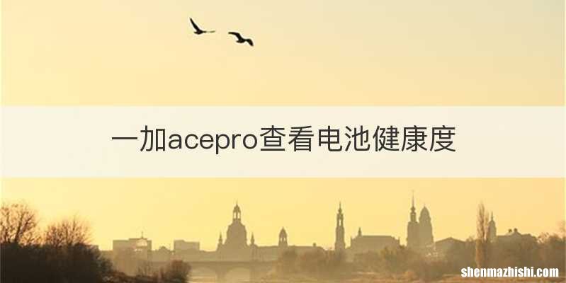一加acepro查看电池健康度