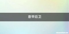 意甲后卫