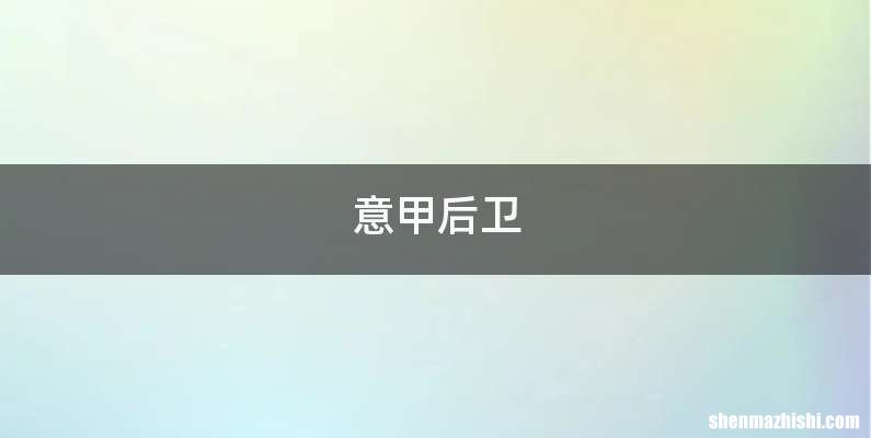 意甲后卫
