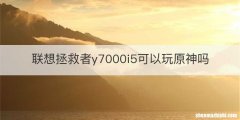 联想拯救者y7000i5可以玩原神吗