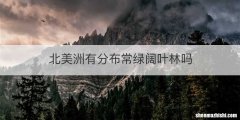 北美洲有分布常绿阔叶林吗