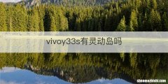 vivoy33s有灵动岛吗
