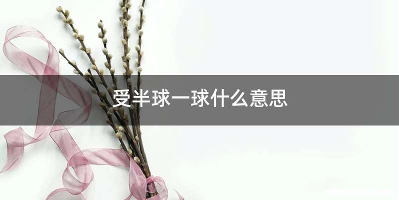 受半球一球什么意思