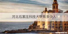 河北石家庄科技大学有多少人