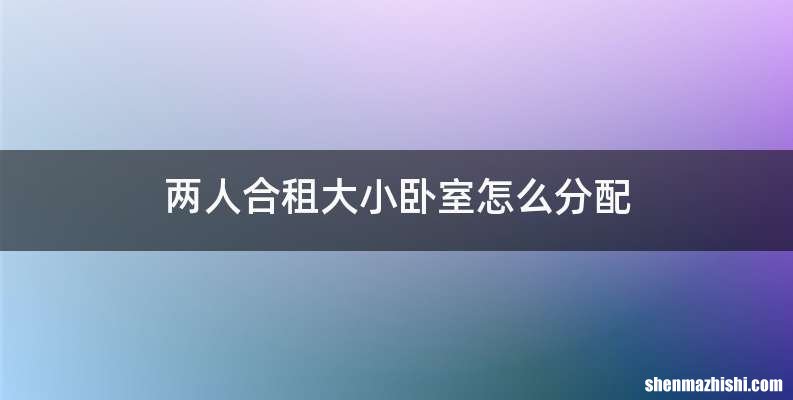 两人合租大小卧室怎么分配