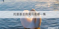 托雷基亚救风马是哪一集