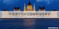 托雷波尔为什么给明哥线线果实