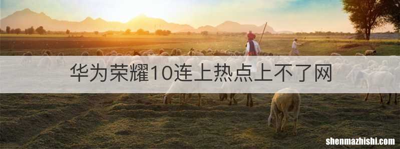 华为荣耀10连上热点上不了网