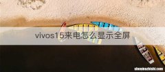 vivos15来电怎么显示全屏
