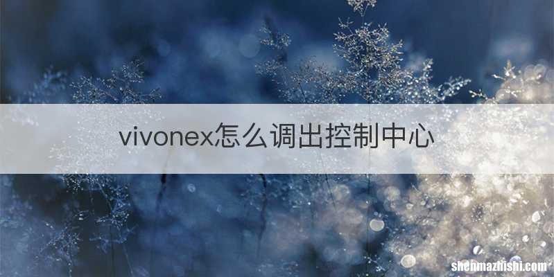 vivonex怎么调出控制中心