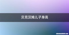 贝克汉姆儿子身高