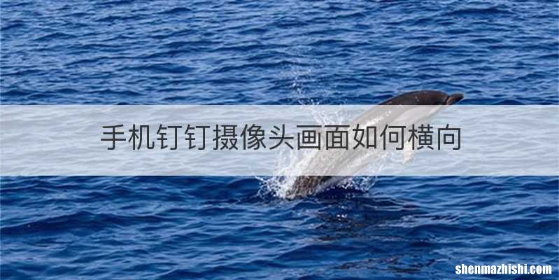 手机钉钉摄像头画面如何横向