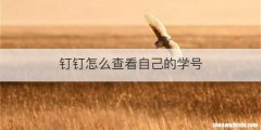 钉钉怎么查看自己的学号