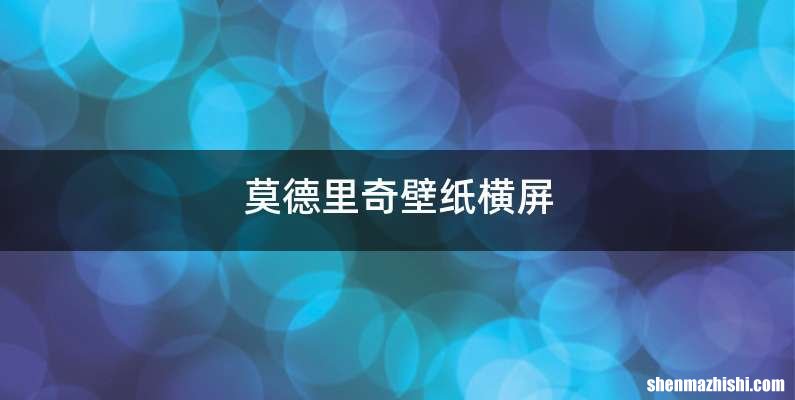莫德里奇壁纸横屏