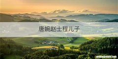 唐婉赵士程儿子