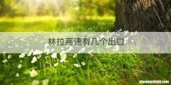 林拉高速有几个出口