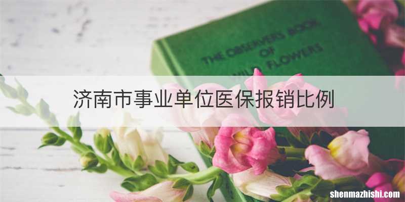 济南市事业单位医保报销比例