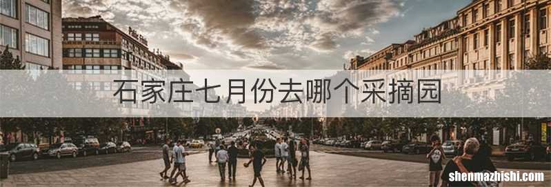 石家庄七月份去哪个采摘园