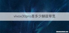 vivox30pro是多少赫兹带宽