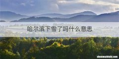 哈尔滨下雪了吗什么意思