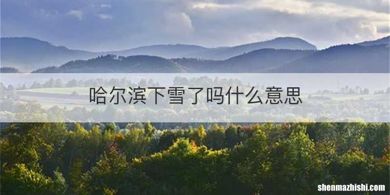 哈尔滨下雪了吗什么意思