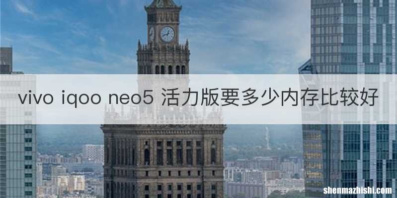 vivo iqoo neo5 活力版要多少内存比较好