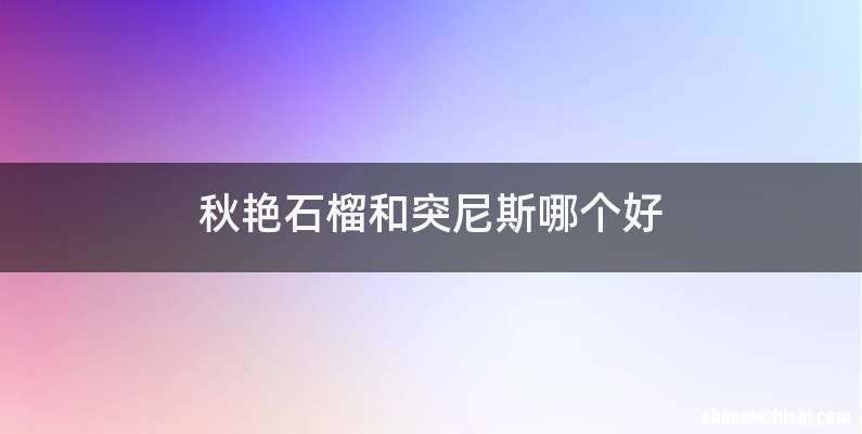 秋艳石榴和突尼斯哪个好