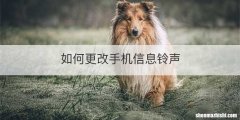 如何更改手机信息铃声